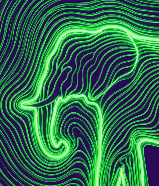Neon elephant abstract graphic